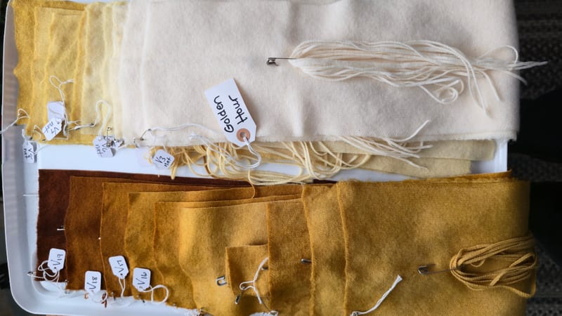 Portrait Study- How to Organize Multi-Value Wool Strips With Ease