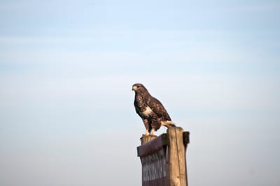 Loslassen – Die Kunst des inneren Freiraums