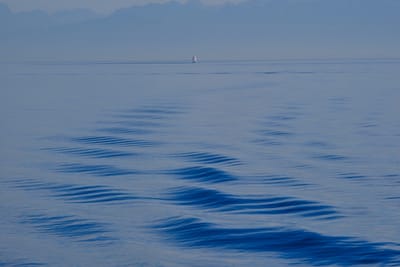 The Water Element in TCM