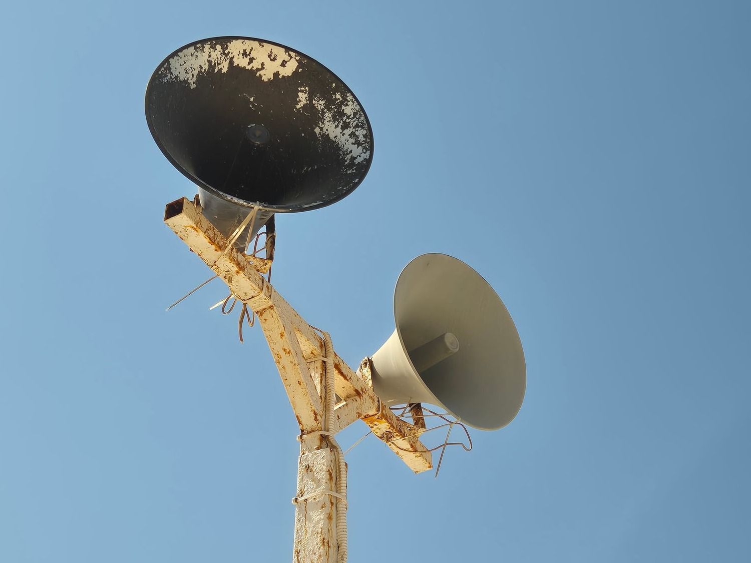 קיץ. התחלות. כשלונות. הצלחות