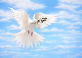 Partnering With The Holy Spirit of God