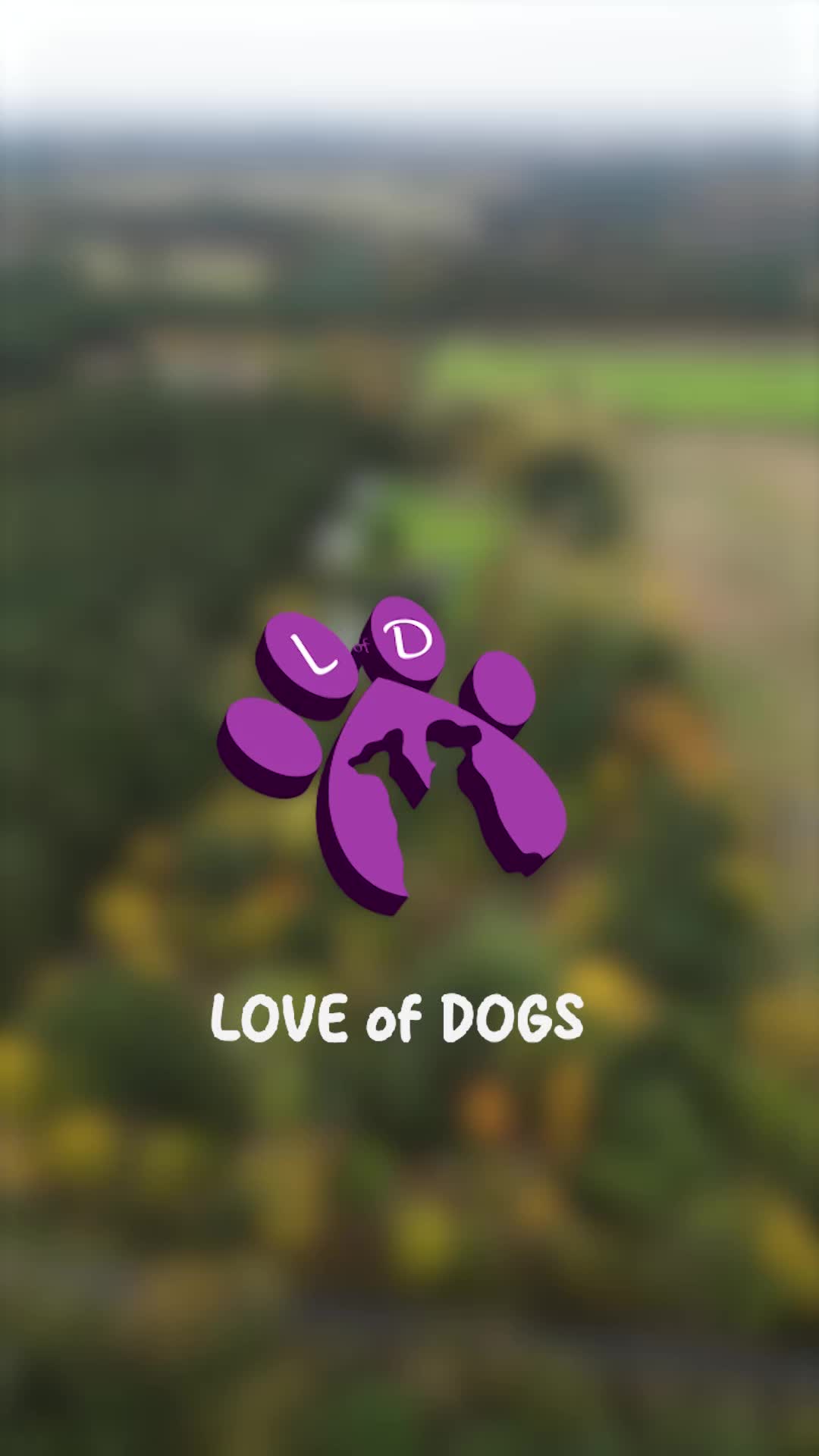 Love of Dogs