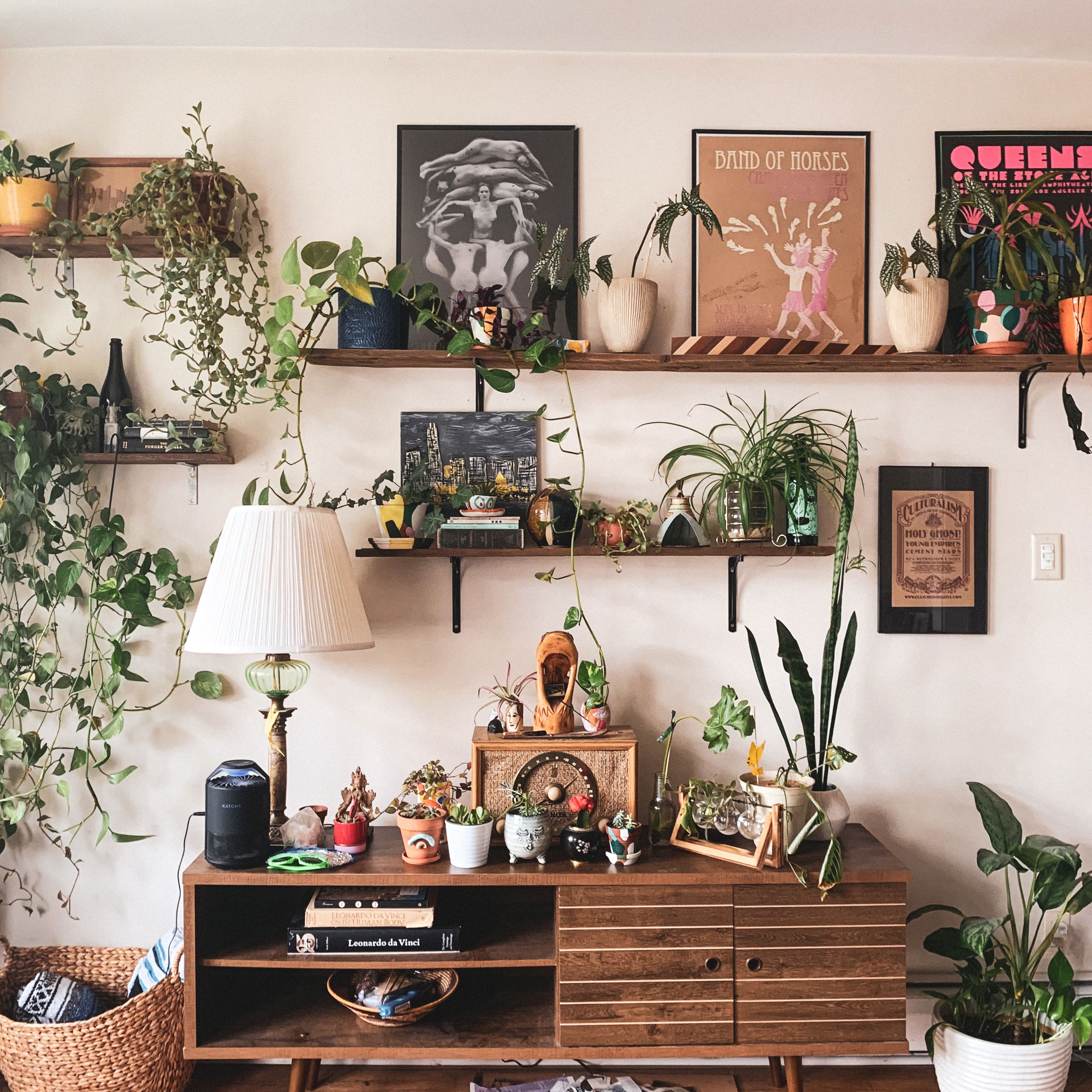 Trazer a natureza pra dentro de casa é uma forma de manter a sanidade em dia