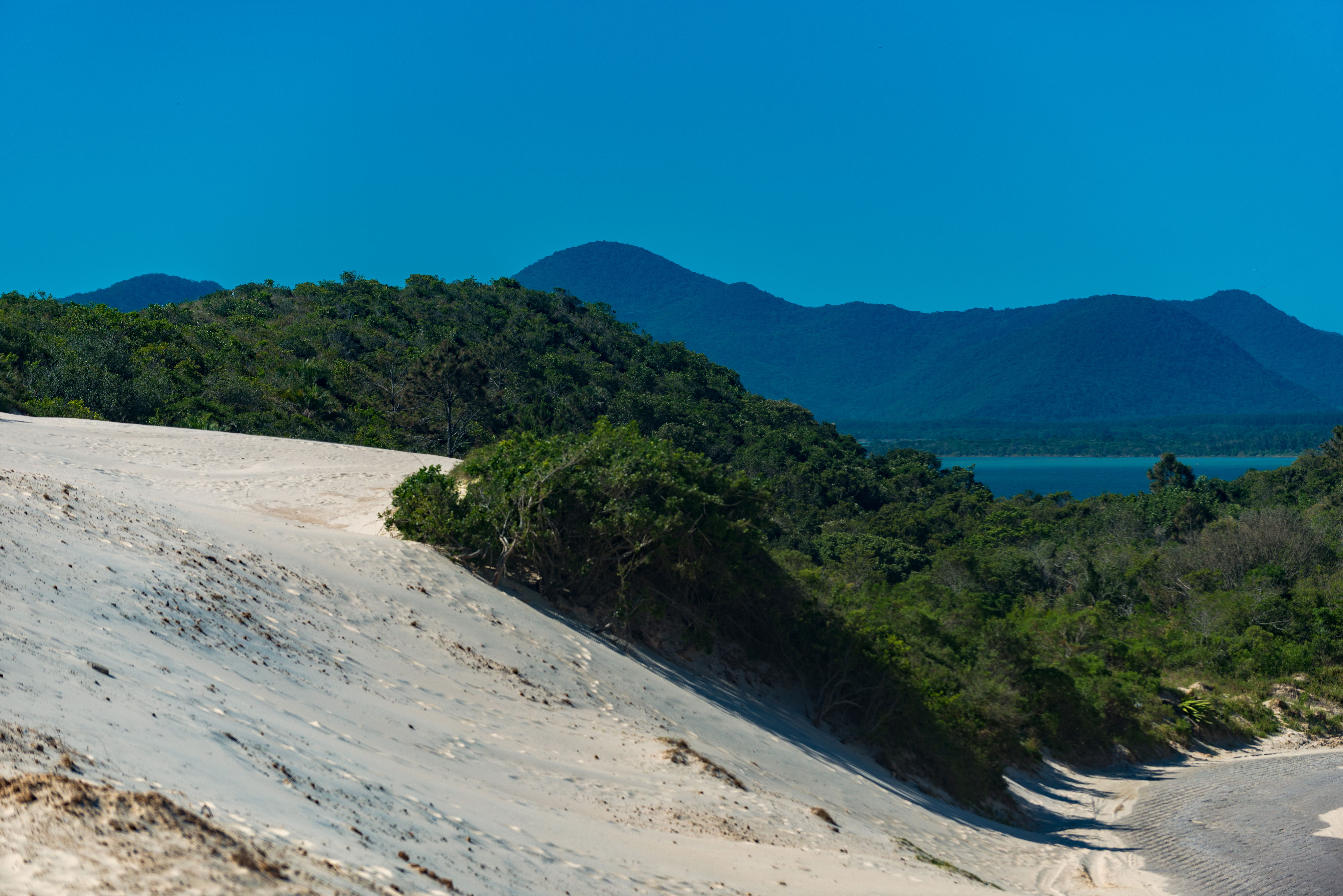 Dunas Praia de Joaquina - Florianópolis - SC