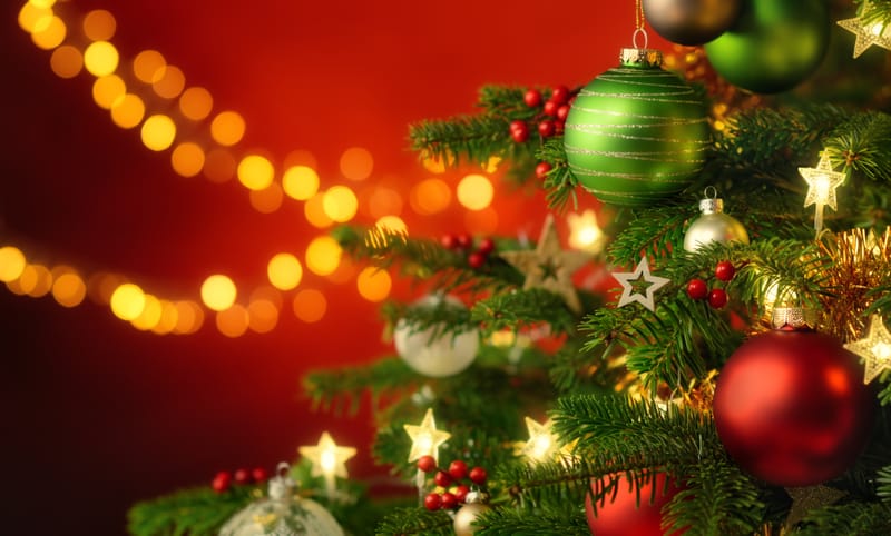 GCNF Christmas Greetings 2025