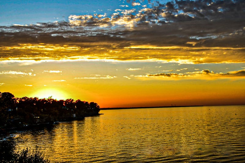 Purchase Prints &amp; Digital Downloads