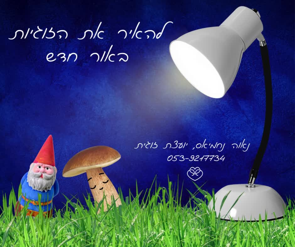 יועצת נישואים לא רק לגמדי גינה