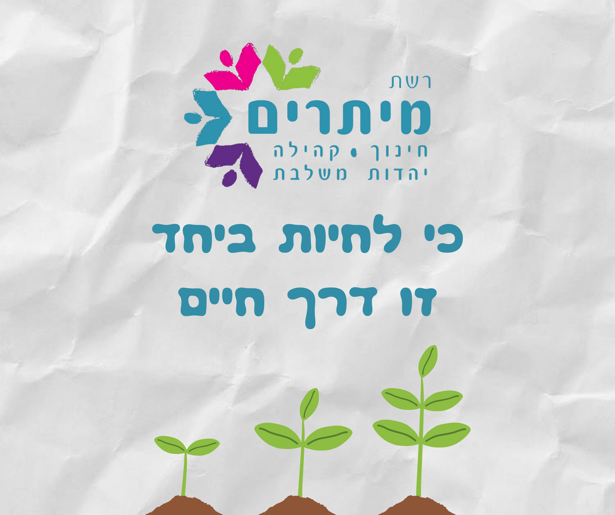 סיפור מהחיים של רשת מיתרים