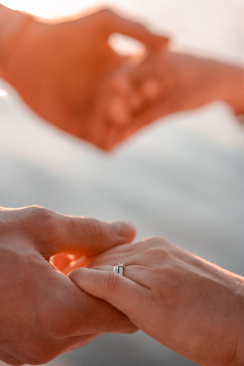 Ž I V O T N Í  U D Á L O S T