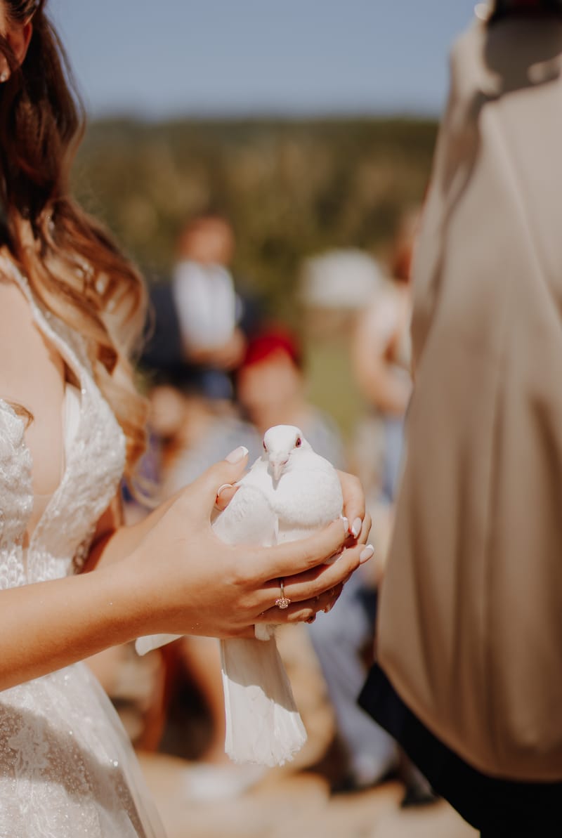 Ž I V O T N Í  U D Á L O S T