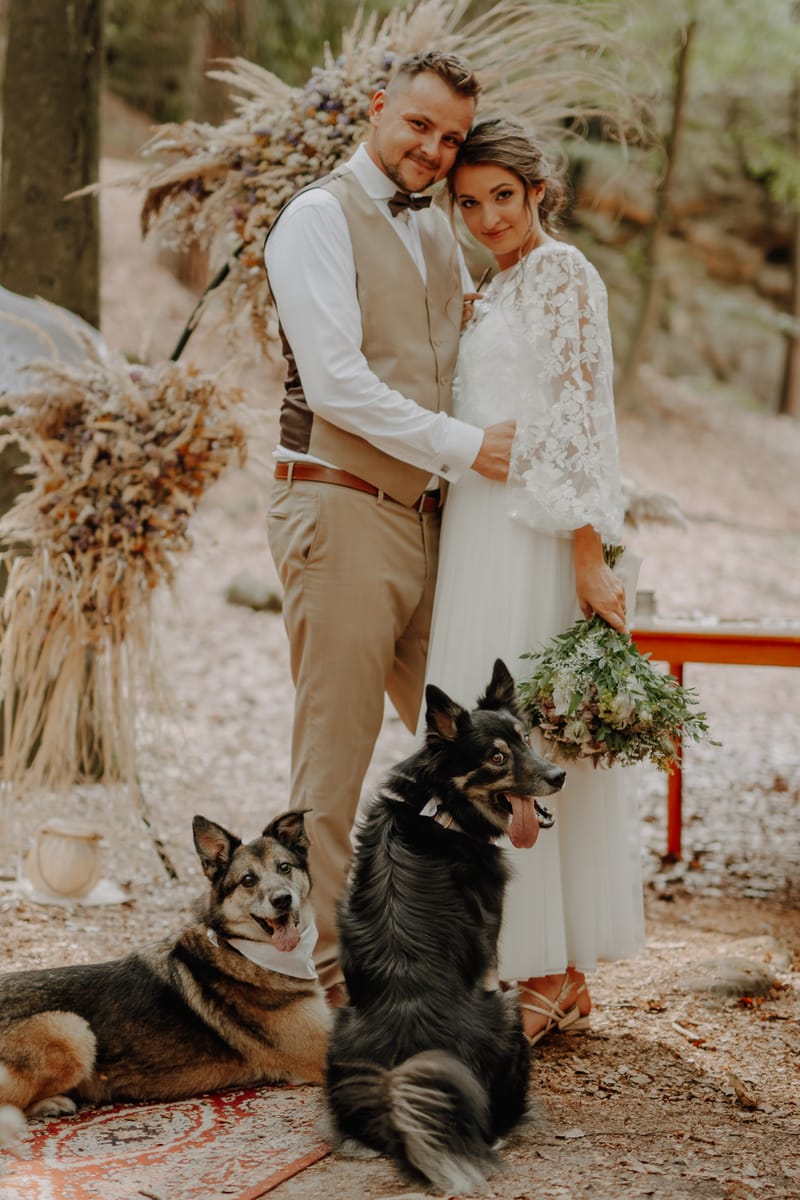 Ž I V O T N Í  U D Á L O S T