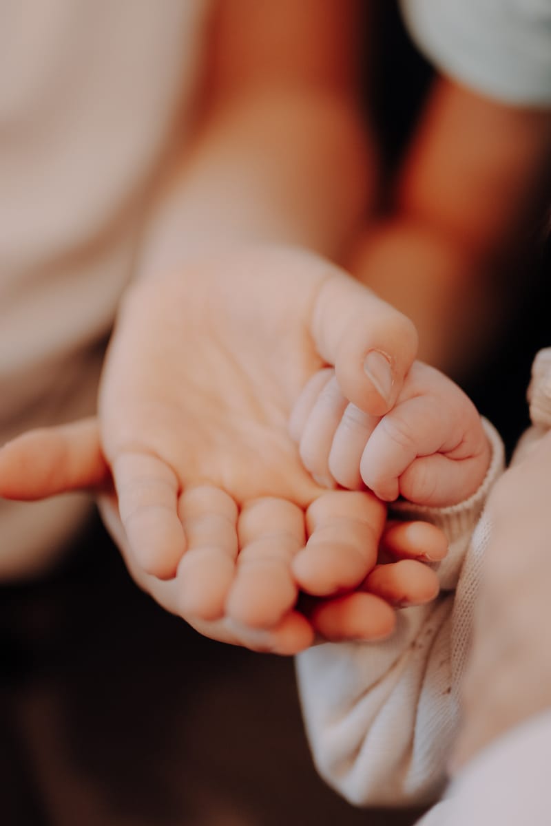 R o d i n n é  Š t ě s t í