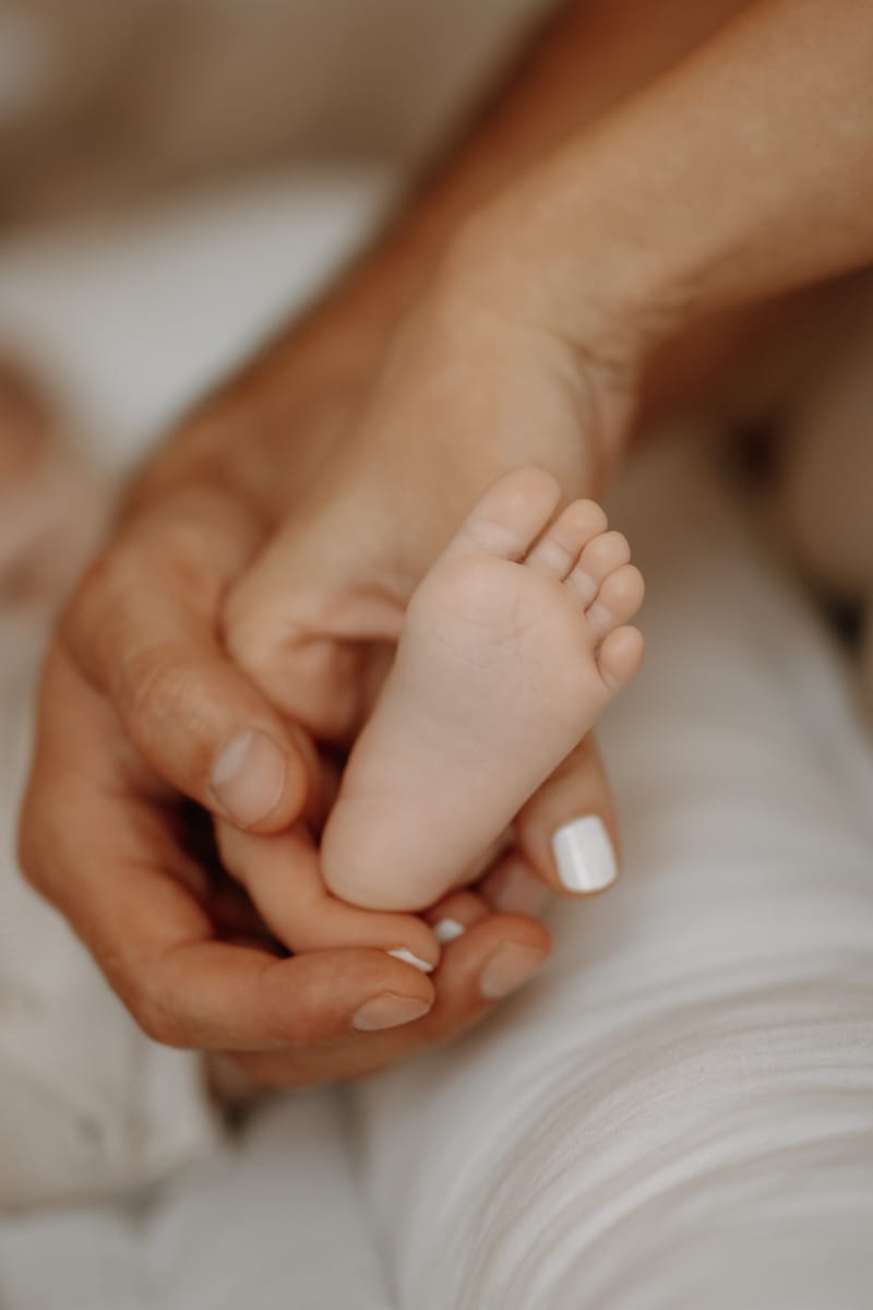 R o d i n n é  Š t ě s t í