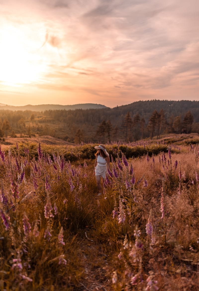 Vaše tvář, Váš příběh
