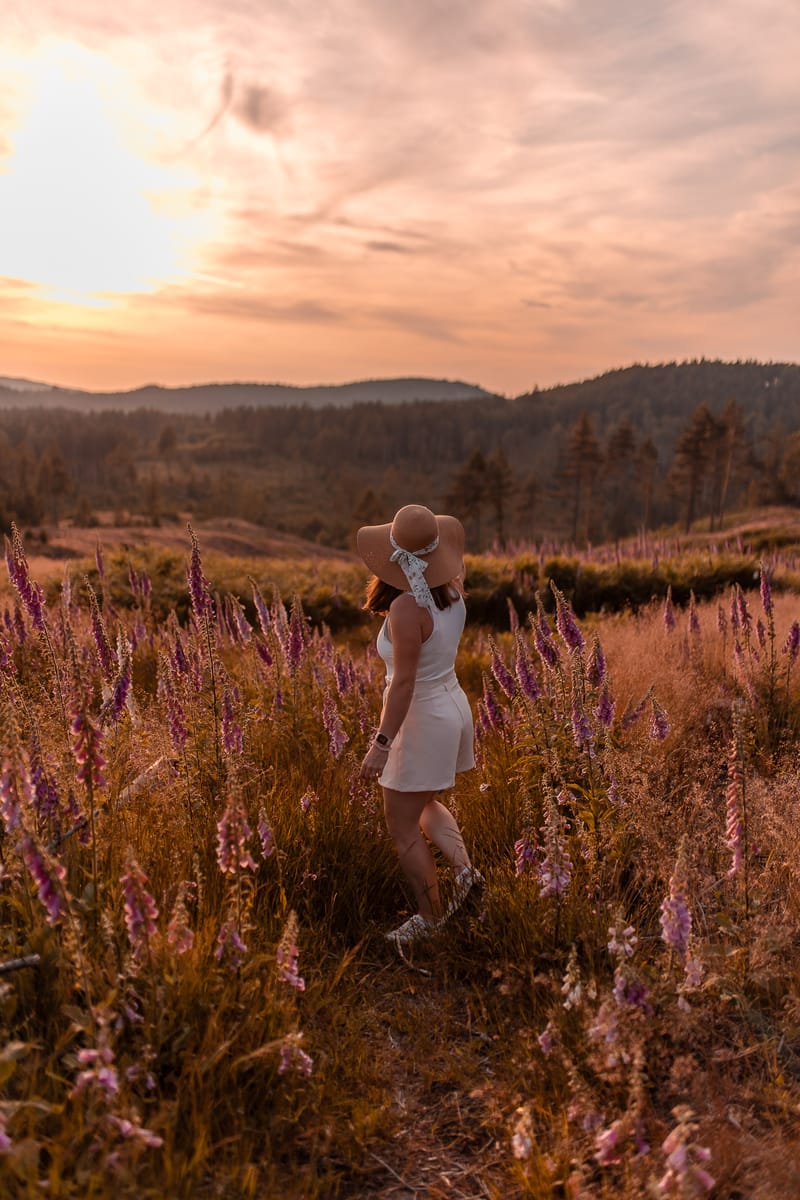 Vaše tvář, Váš příběh