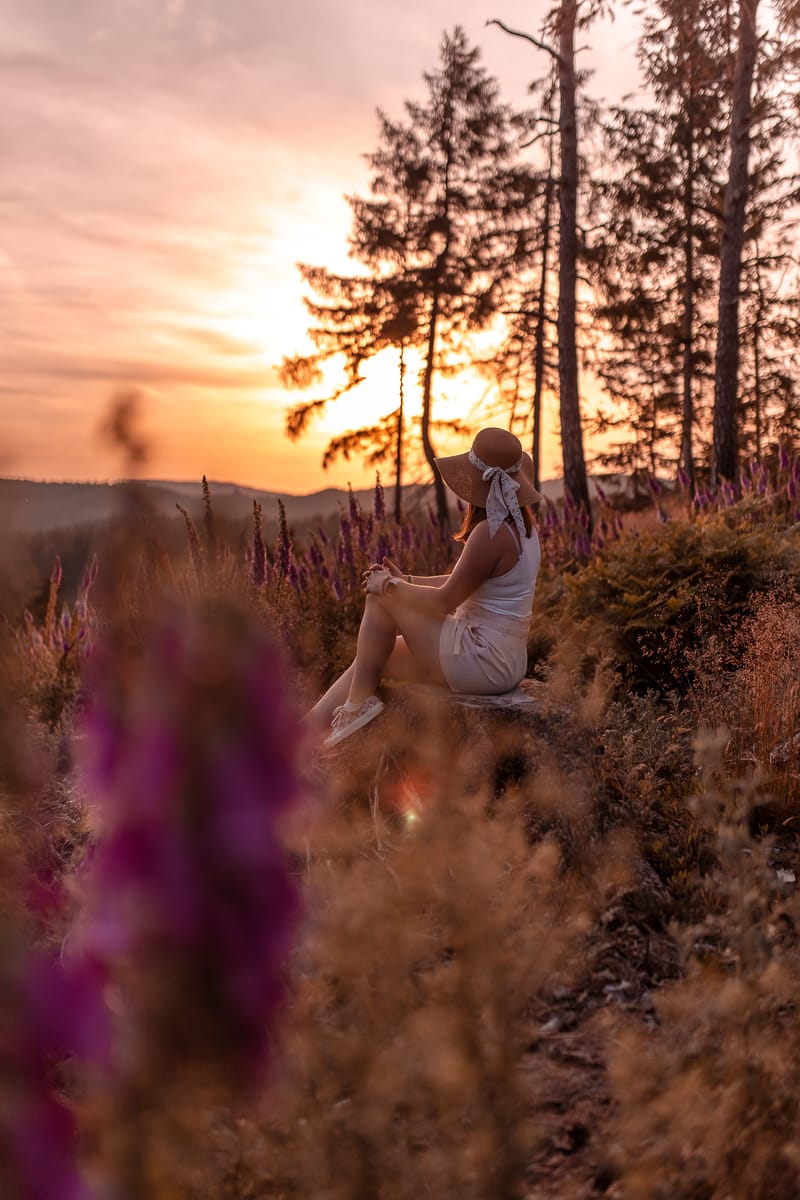 Vaše tvář, Váš příběh