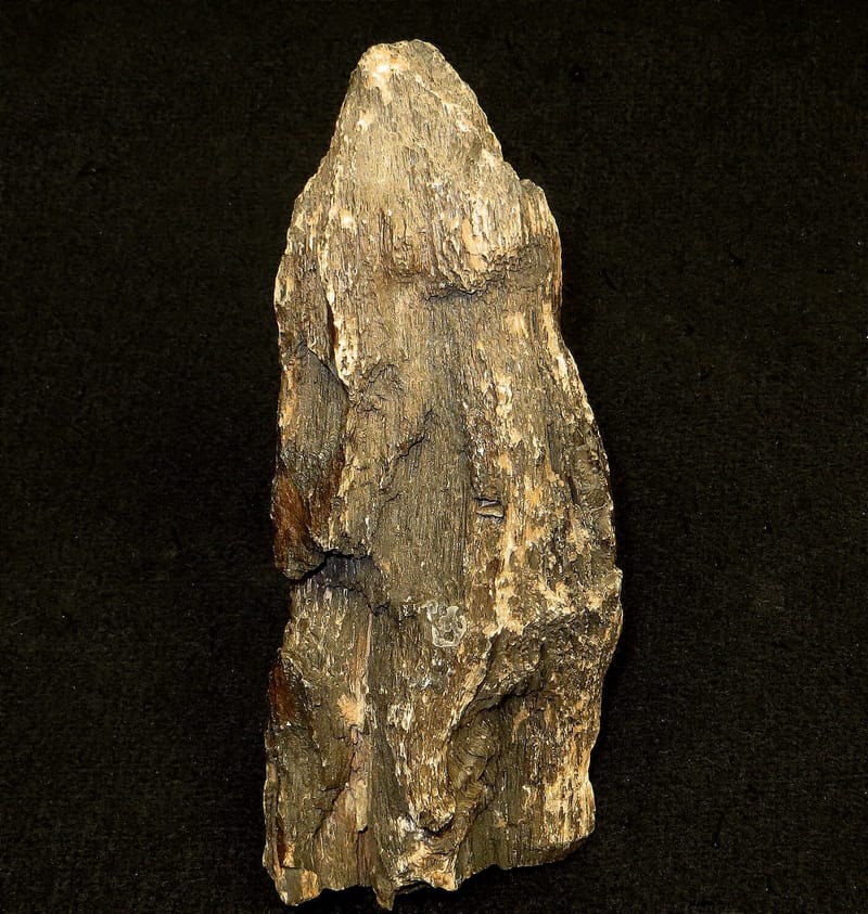 Iron Ruff Toul Rough Iron Wood - Petrified Wood Co.