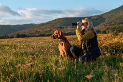 Dogs as Wildlife Watching Partners