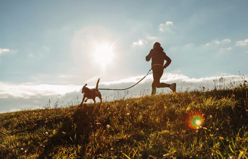 Cani-cross or Cani-Trekking lessons