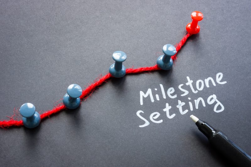 Milestone Accountability Check-ins