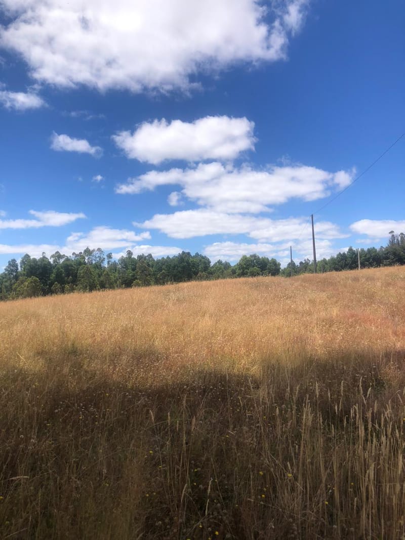 PARCELA $30.000.000.- LONCOCHE