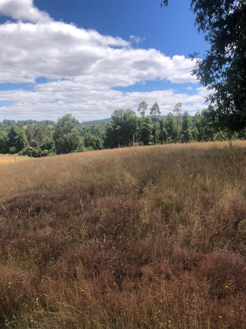 PARCELA $30.000.000.- LONCOCHE