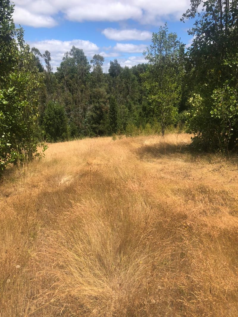 PARCELA $30.000.000.- LONCOCHE