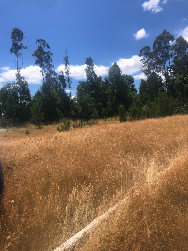 PARCELA $30.000.000.- LONCOCHE