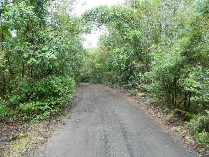 PARCELA $45.000.000.- VILLARRICA