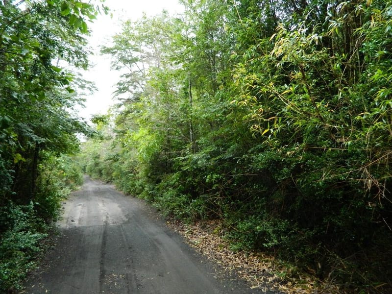 PARCELA $45.000.000.- VILLARRICA