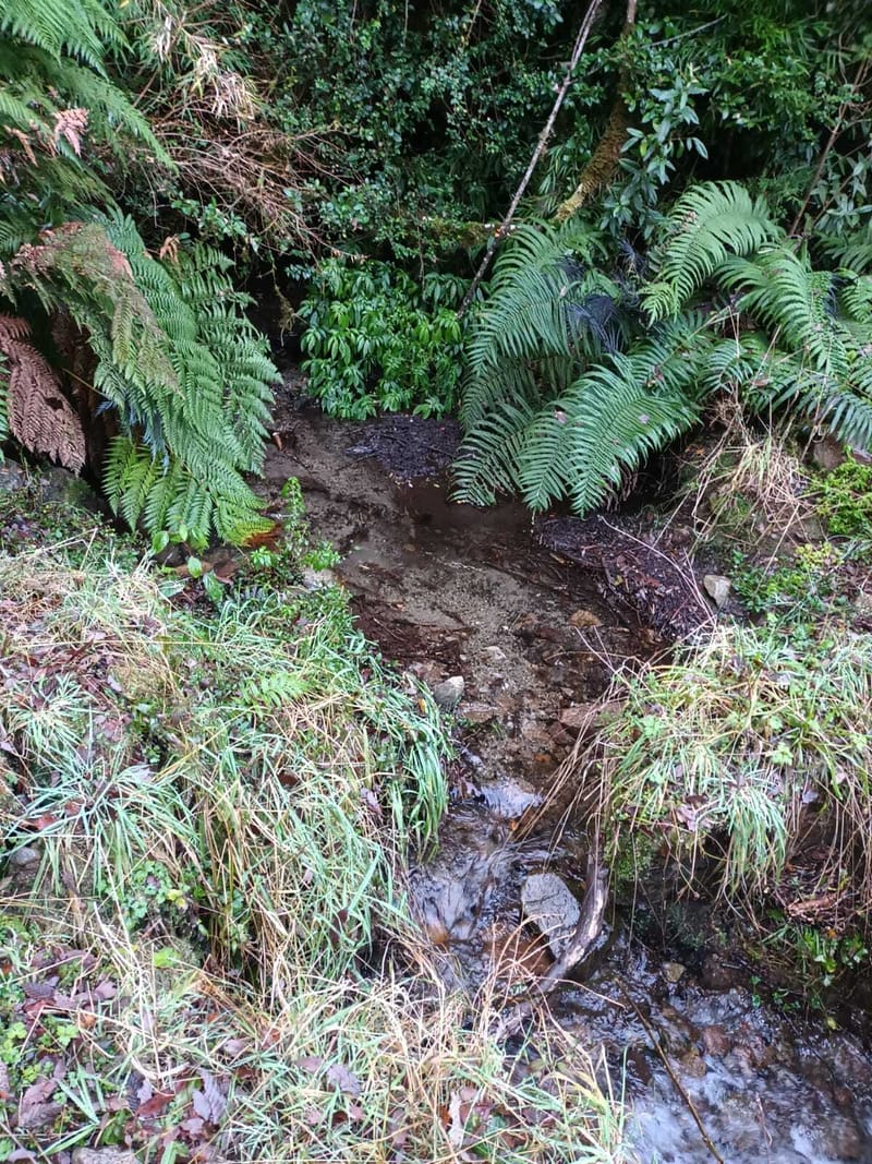 PARCELA $25.000.000.- PUCON