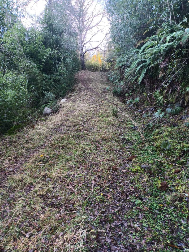 PARCELA $25.000.000.- PUCON