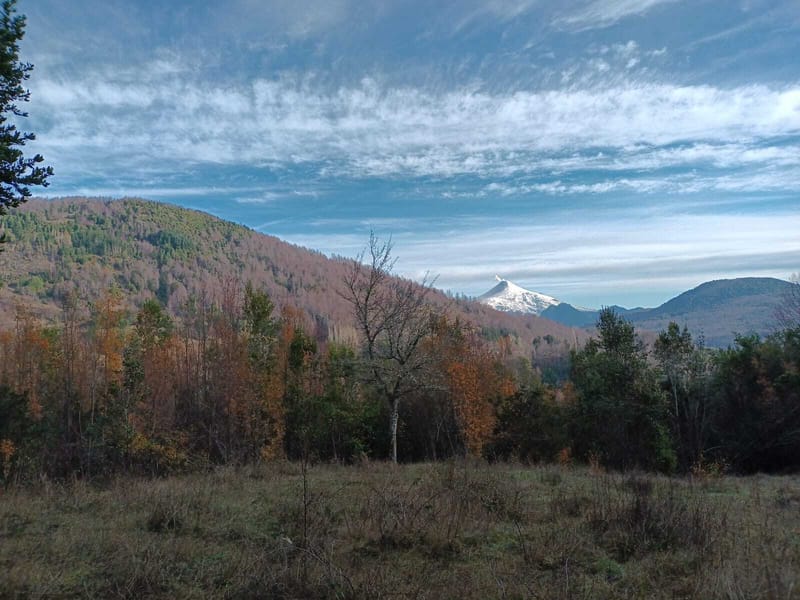 PARCELA $25.000.000.- PUCON