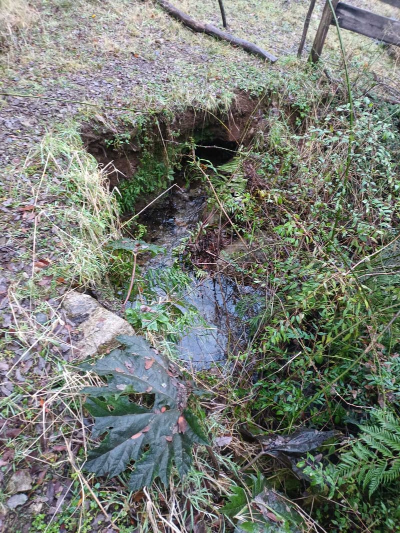 PARCELA $25.000.000.- PUCON