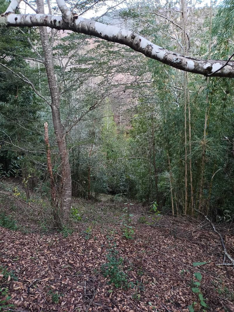 PARCELA $25.000.000.- PUCON