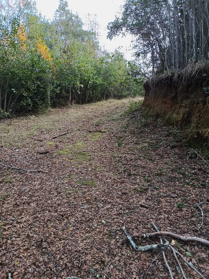 PARCELA $25.000.000.- PUCON