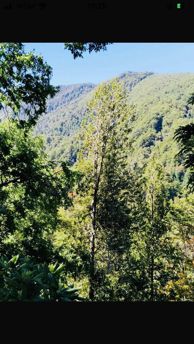 SITIO $25.000.000.- CABURGUA