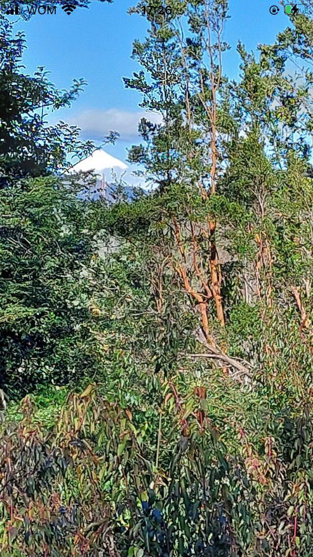 SITIO $25.000.000.- CABURGUA