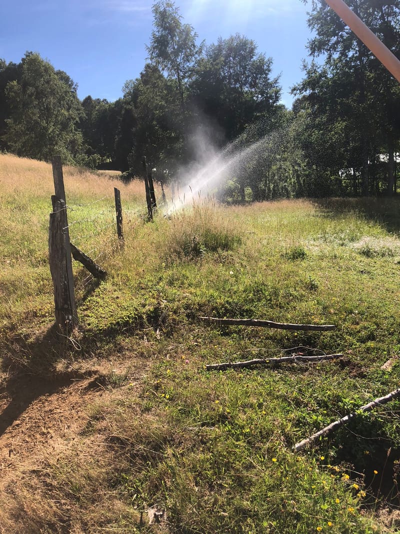 CAMPO $160.000.000.- VILLARRICA