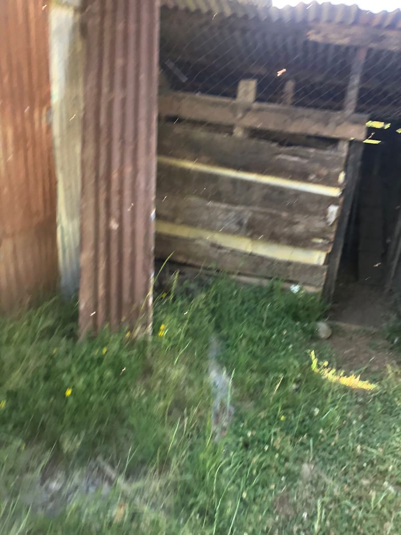 CAMPO $160.000.000.- VILLARRICA