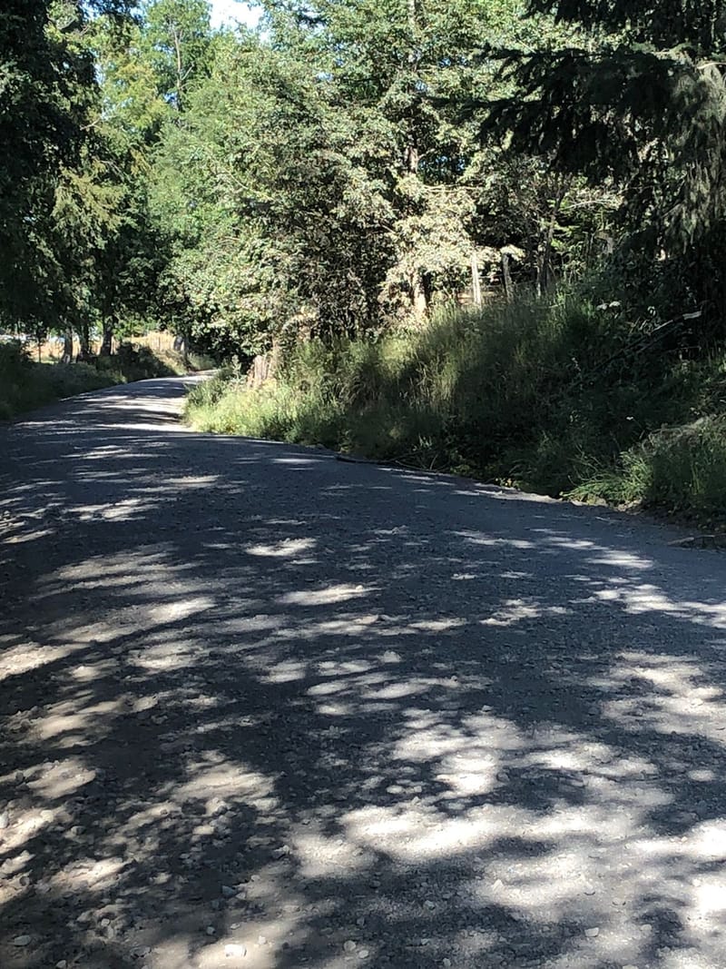 CAMPO $160.000.000.- VILLARRICA