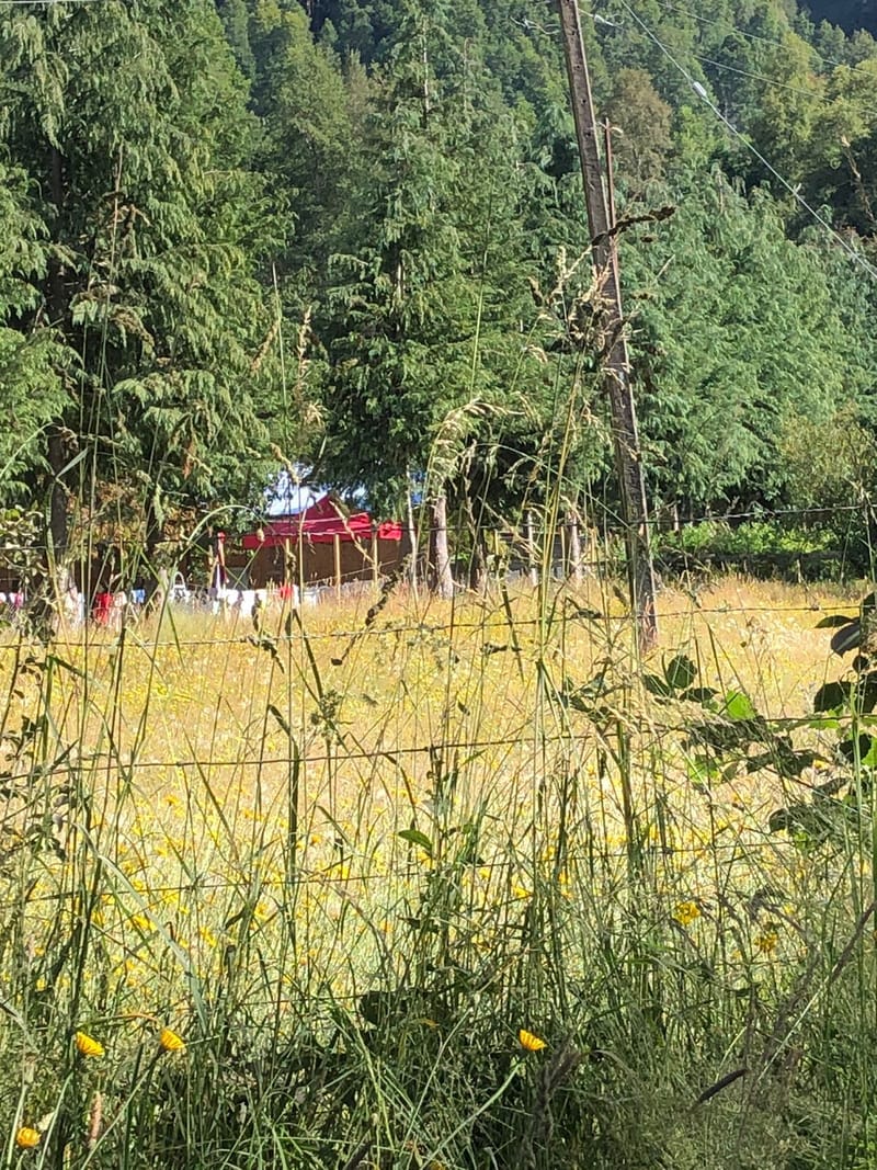 CAMPO $160.000.000.- VILLARRICA