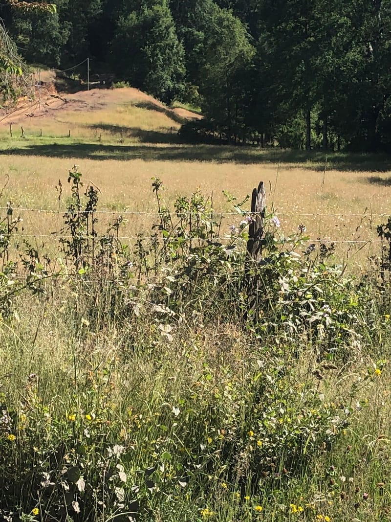 CAMPO $160.000.000.- VILLARRICA