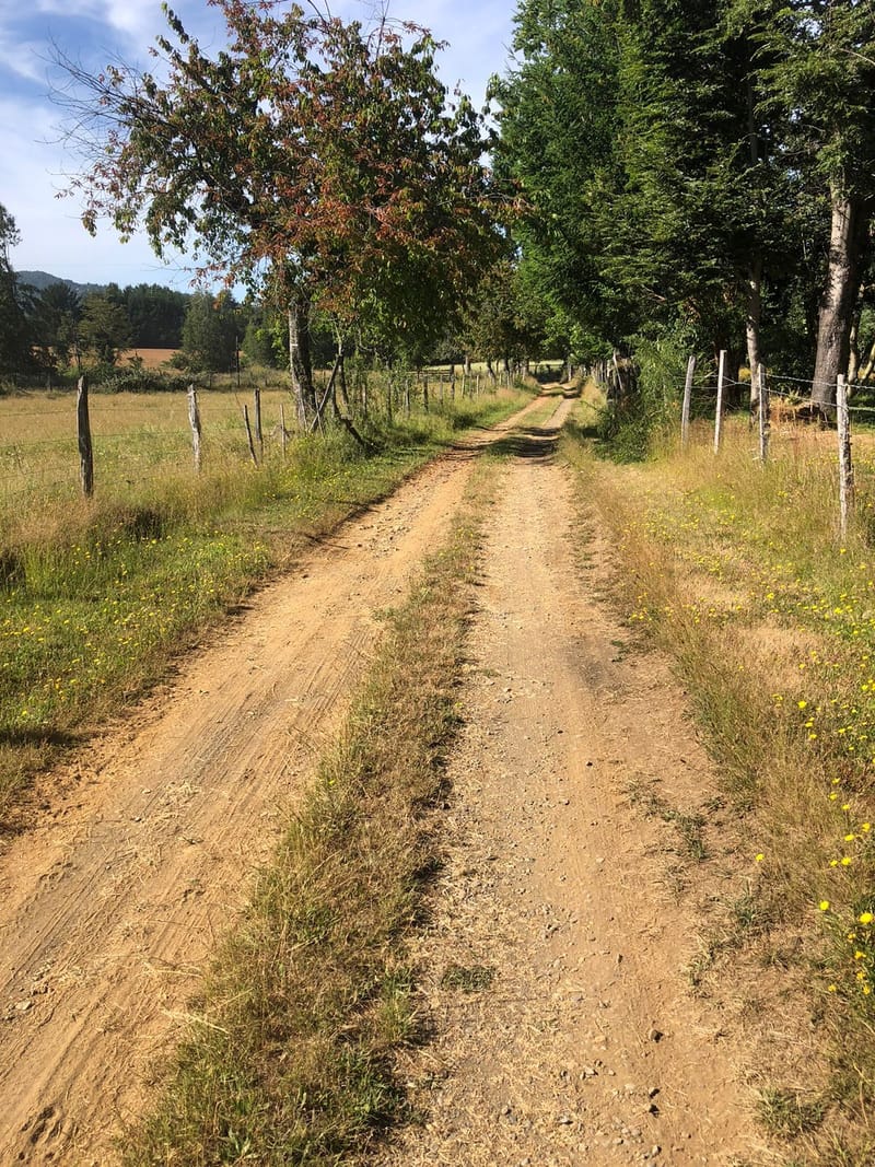 CAMPO $160.000.000.- VILLARRICA