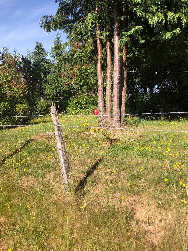 CAMPO $160.000.000.- VILLARRICA