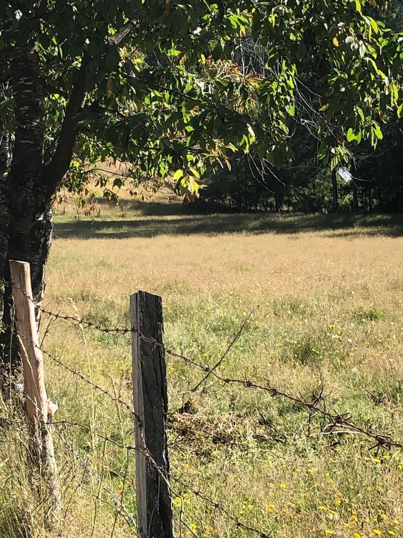 CAMPO $160.000.000.- VILLARRICA