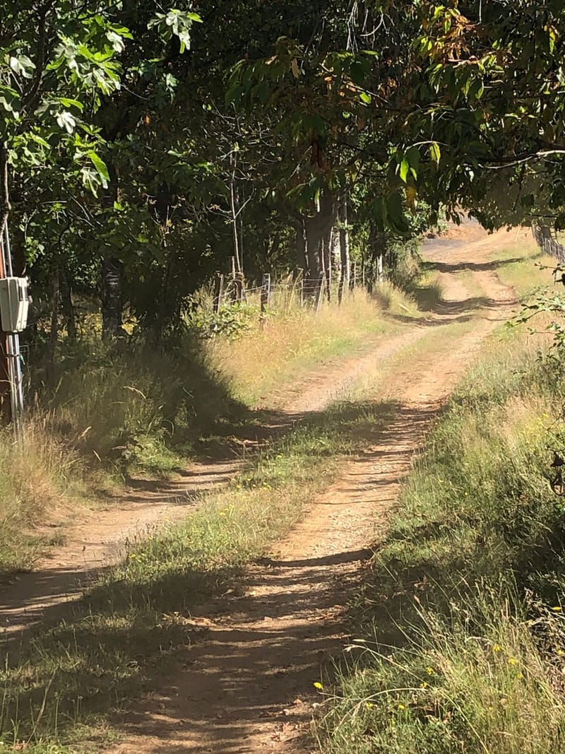 CAMPO $160.000.000.- VILLARRICA