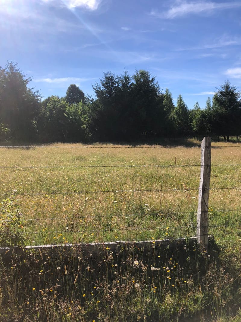 CAMPO $160.000.000.- VILLARRICA