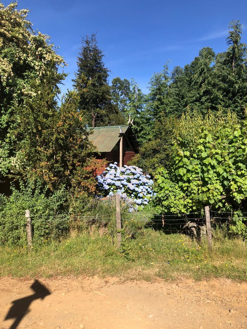 CAMPO $160.000.000.- VILLARRICA