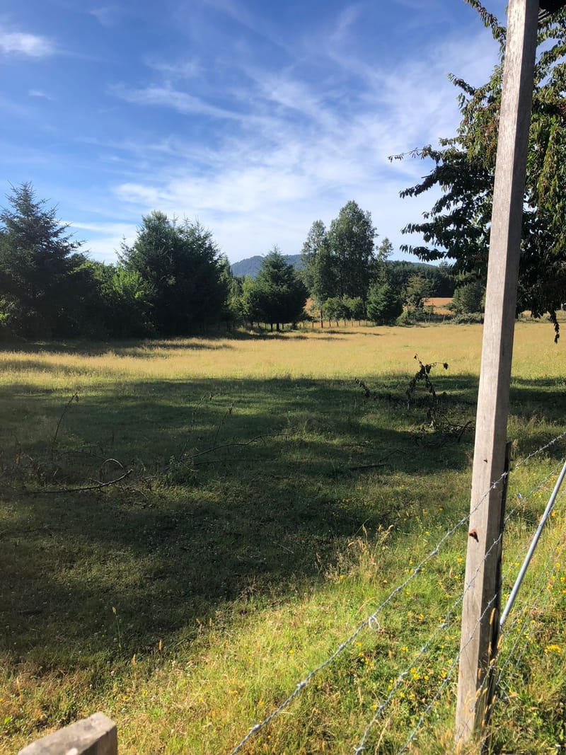 CAMPO $160.000.000.- VILLARRICA